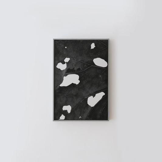 Premium Archival Prints