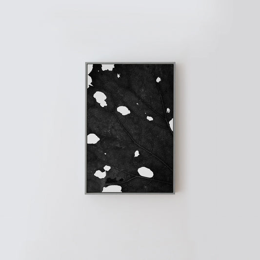 Premium Archival Prints