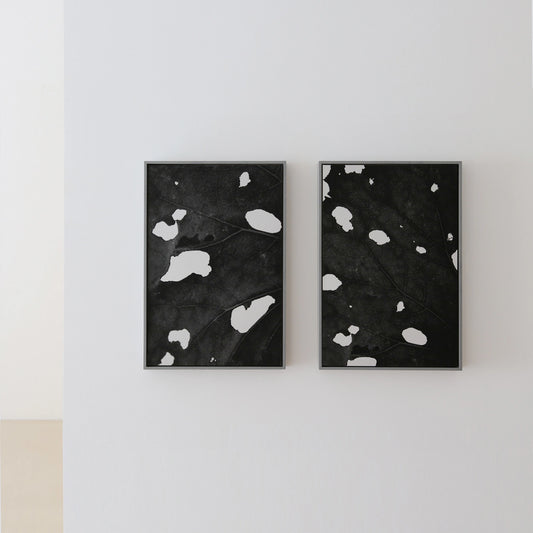 Premium Archival Prints
